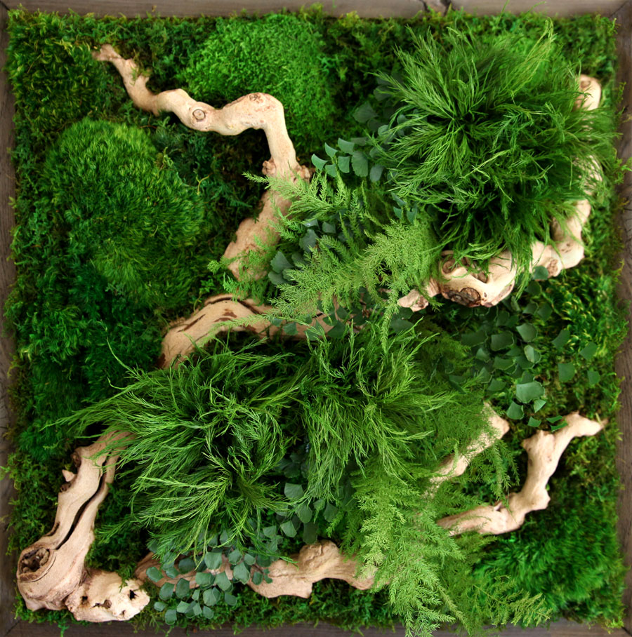 mosswallart5