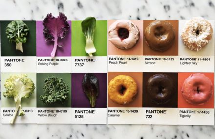 Gourmet and Colorful Pantone Food Series