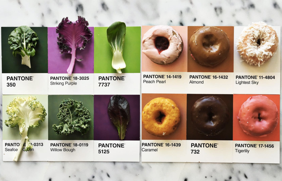 Gourmet and Colorful Pantone Food Series