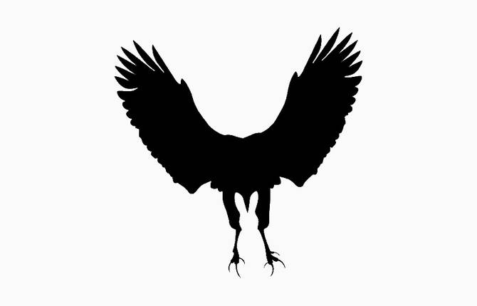 Clever Illustrations Showing Predators and Their Prey