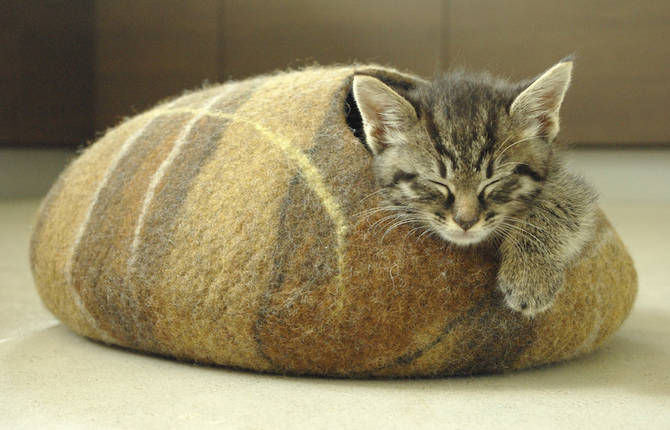 Adorable Cat Beds