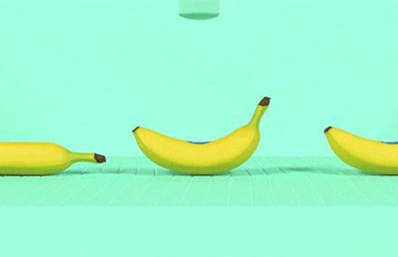 Hilarious and Surprising Bananas GIFs