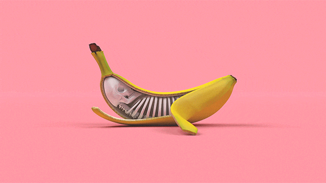 Hilarious and Surprising Bananas GIFs23