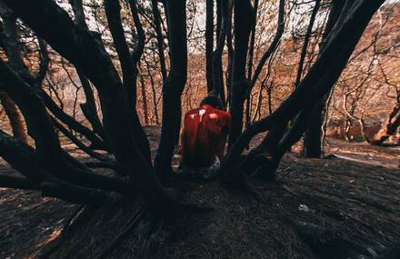 Introspective Self-Portraits Series