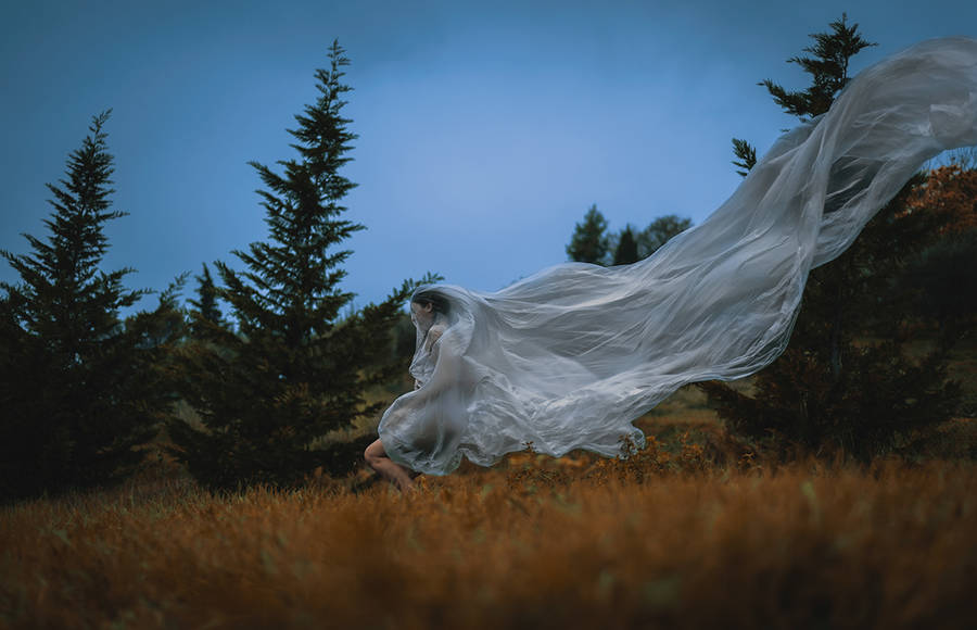 The Mysterious Creatures of Jessica Pascucci