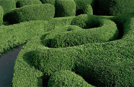 Strange and Surreal Topiary Gardens in France