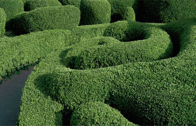 Strange and Surreal Topiary Gardens in France