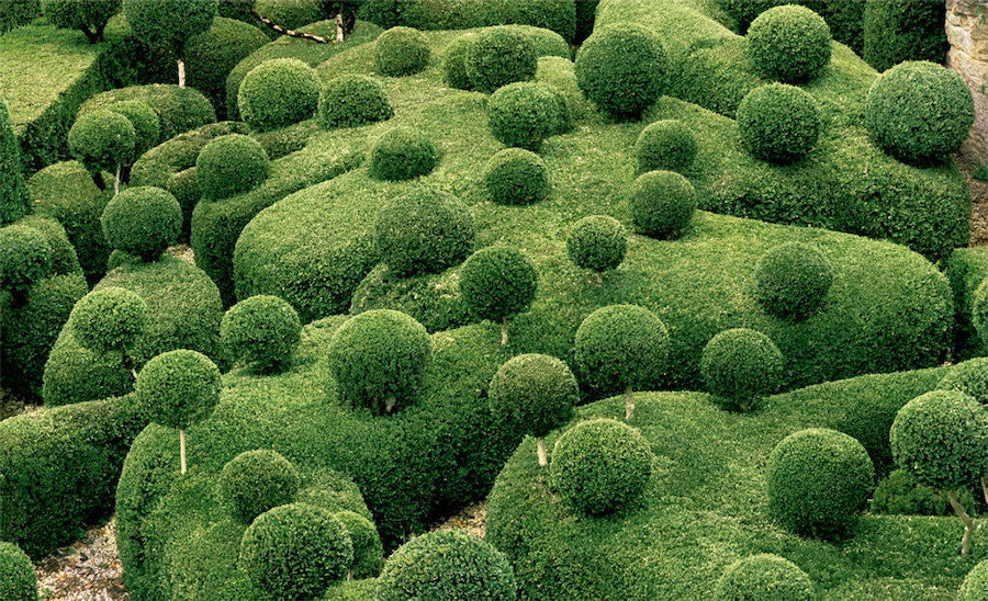 Strange and Surreal Topiary Gardens in France3