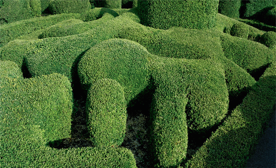 Strange and Surreal Topiary Gardens in France7