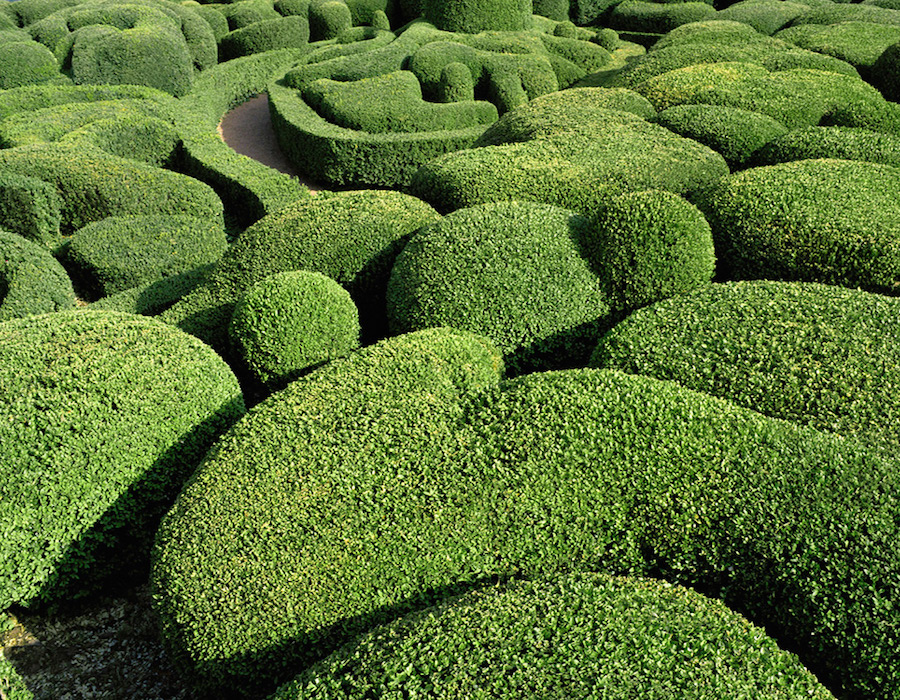 Strange and Surreal Topiary Gardens in France8