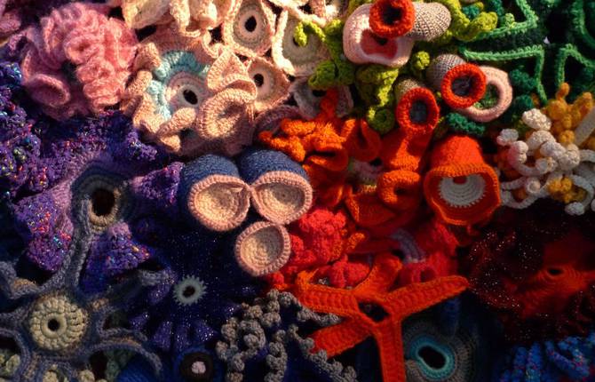 Accurate Crocheted Coral Reefs