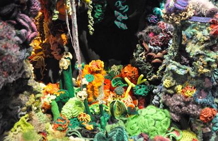 Accurate Crocheted Coral Reefs