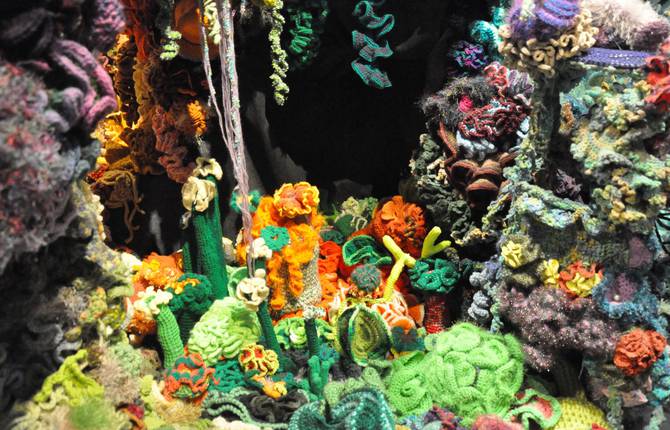 Accurate Crocheted Coral Reefs