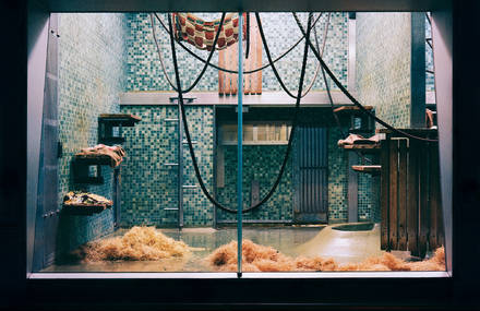 Conceptual Picture Series of Berlin Zoo Empty Animal Rooms