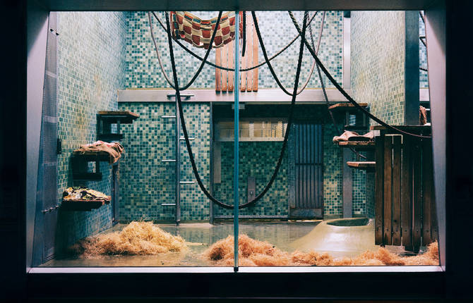 Conceptual Picture Series of Berlin Zoo Empty Animal Rooms