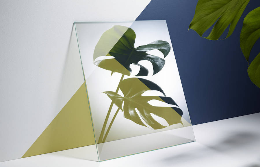 Reflections of Green Plants in Mirrors