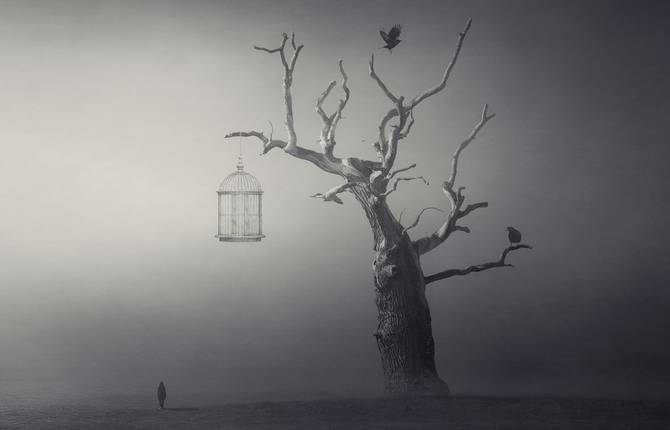 Enchanting Surreal Dark Settings