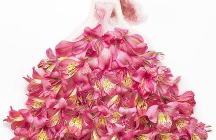 Elegant Drawings Of Girls Wearing Dresses Made Of Real Flower Petals