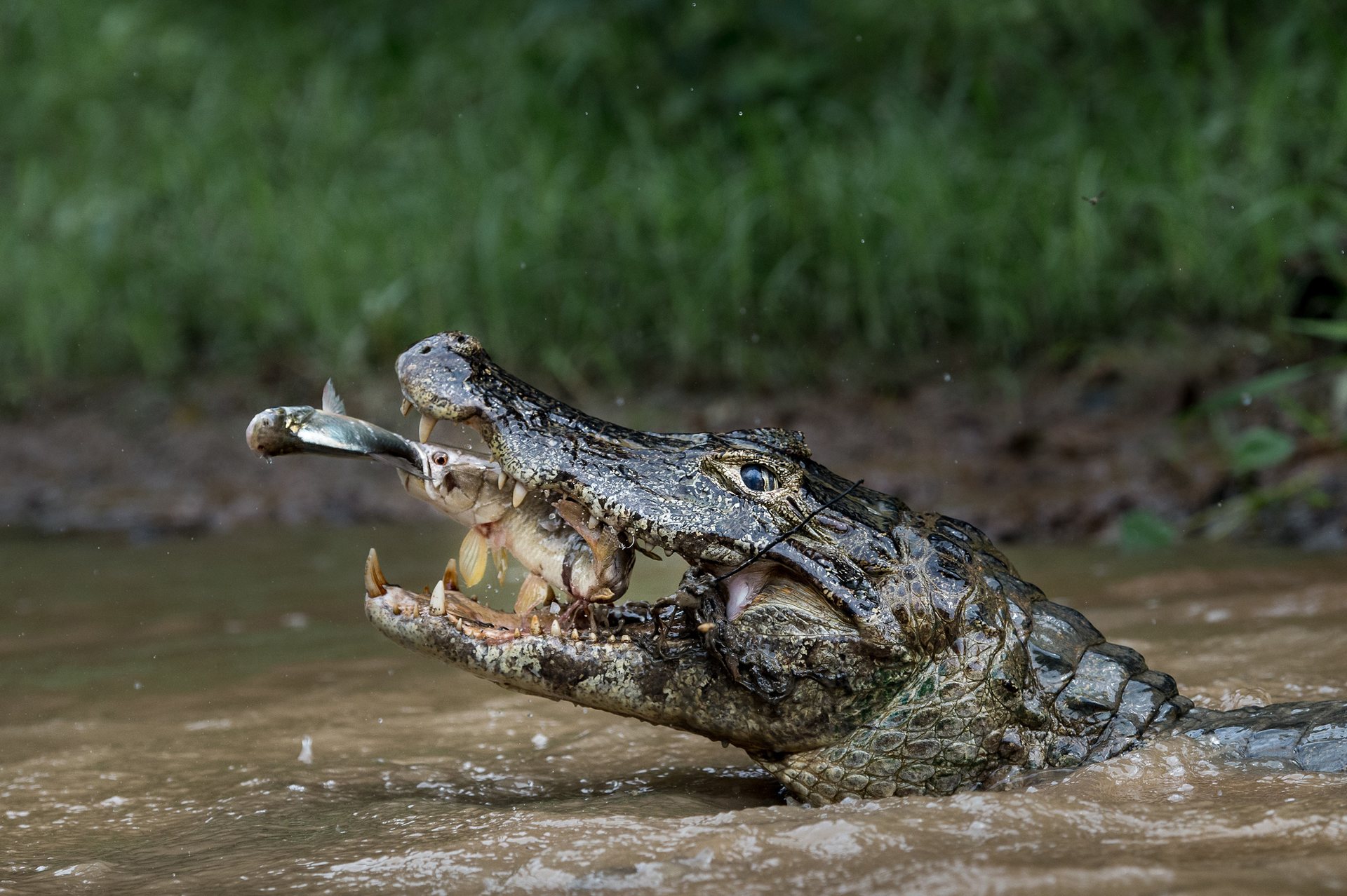 natgeotravel20165