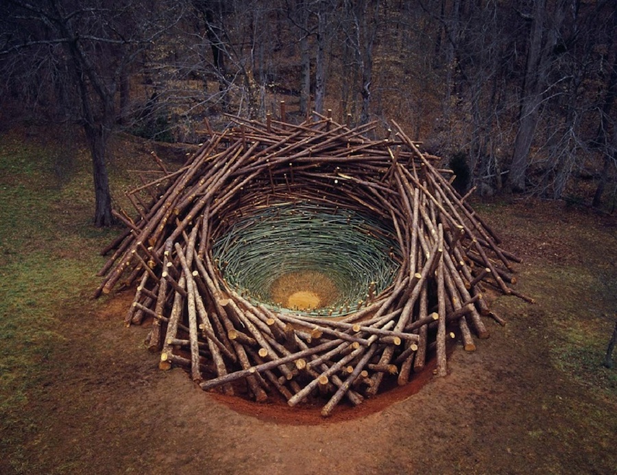 Clemson Clay Nest