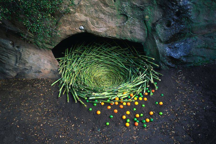 Nature Land Art Installations By Nils Udo Fubiz Media