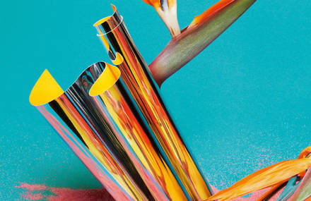 Colorful Set Design made of Powder and Flowers