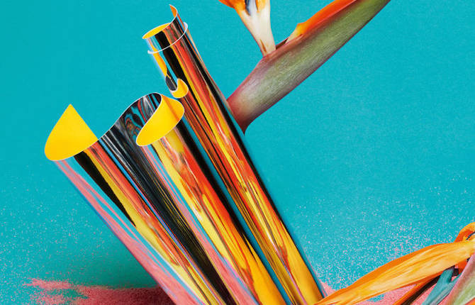 Colorful Set Design made of Powder and Flowers