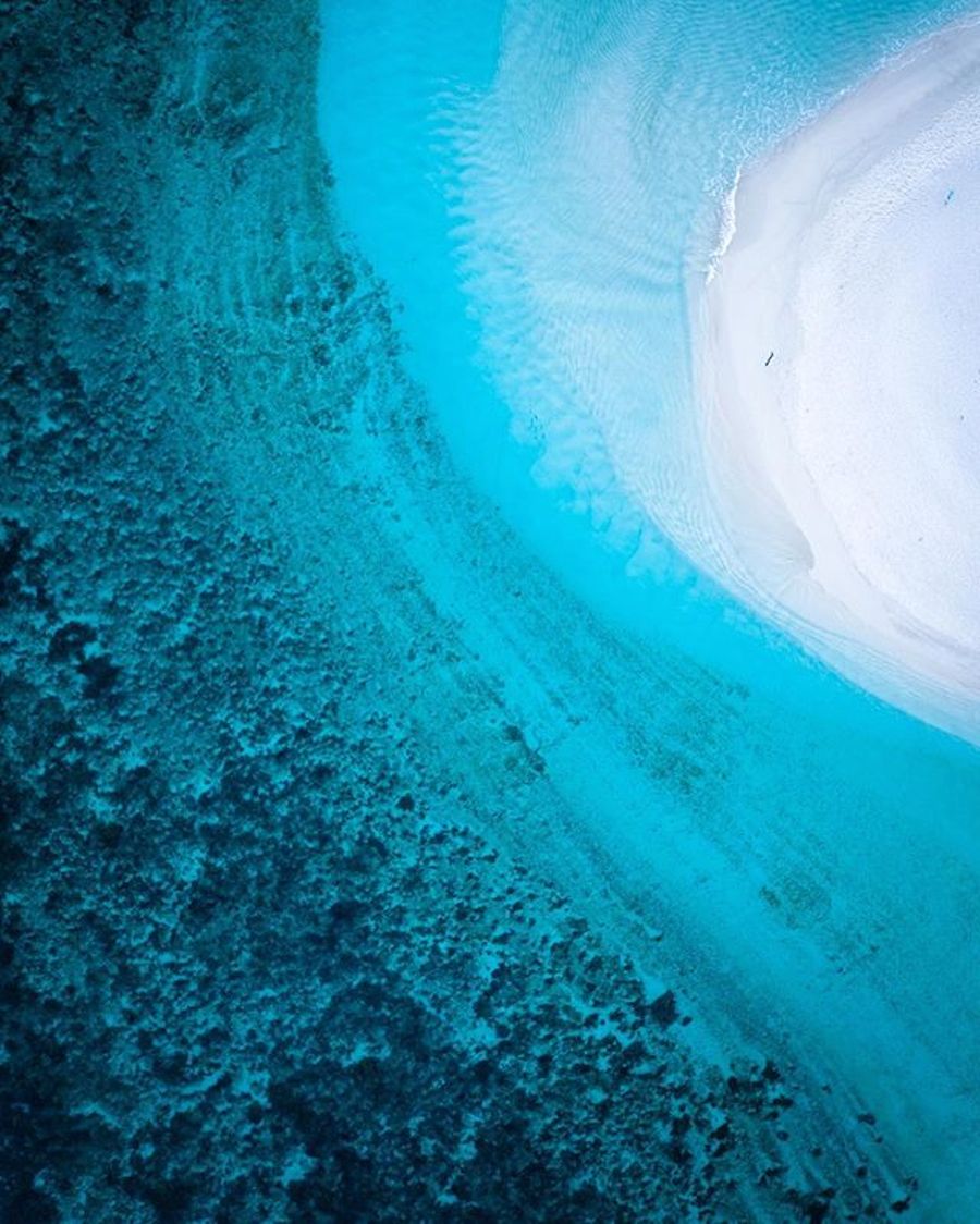 saltywings-20