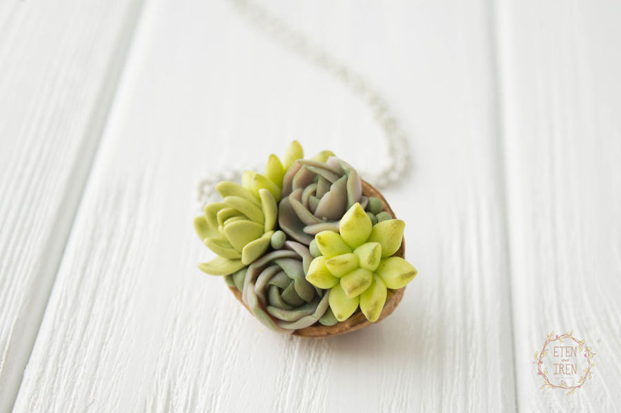 succulents-16