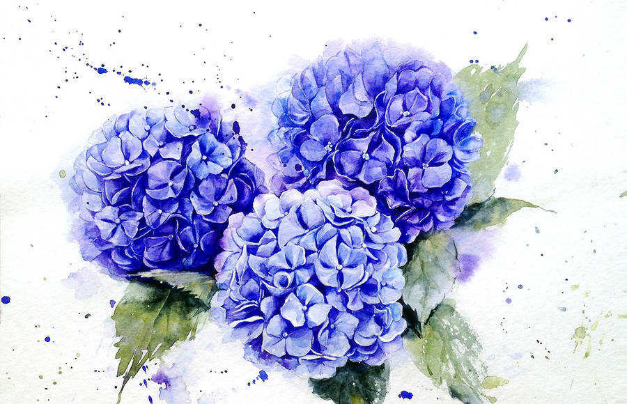 Poetic & Realistic Flowers Watercolor Paintings