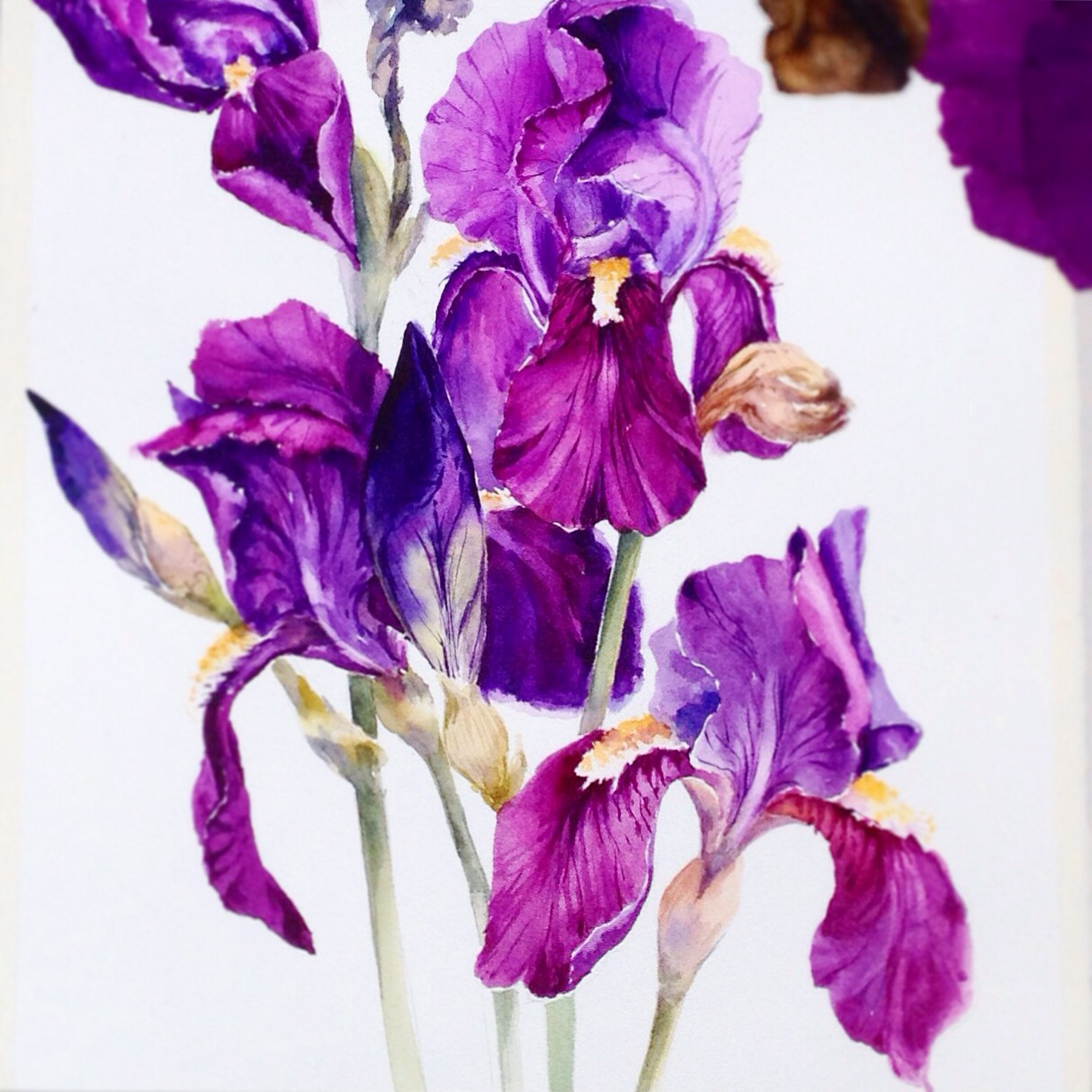 watercolorflowers3