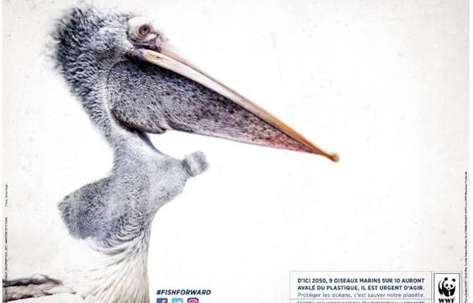 Accurate Awareness Campaign Contest for WWF