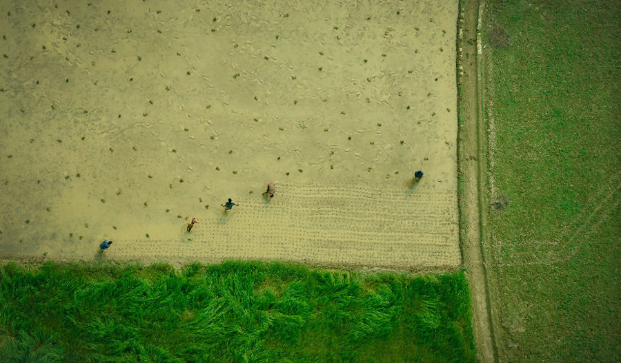 Captivating Aerial Pictures of Bangladesh7