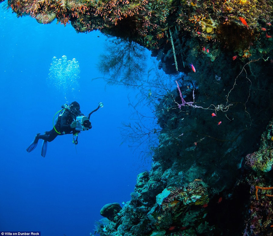 Gorgeous Pictures of the Dunbar Rock Villa in the Caribbean14