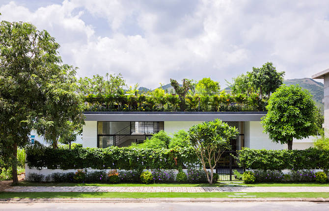 Original House Rooftop