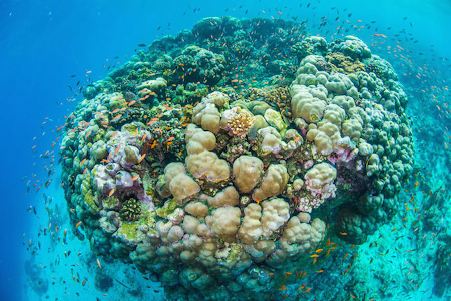 Room Below the Level of Water in the Indian Ocean11