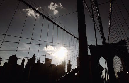 The Daily Beauty of NYC