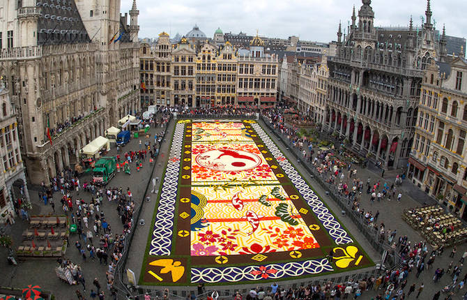 Impressive Flower Carpet Made of 600 000 Blooms in Brussels
