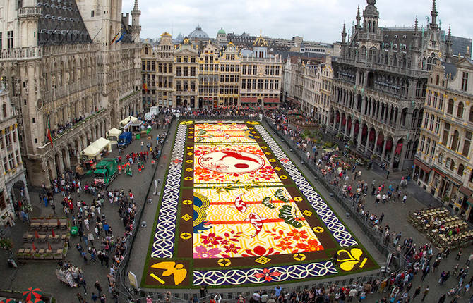 Impressive Flower Carpet Made of 600 000 Blooms in Brussels