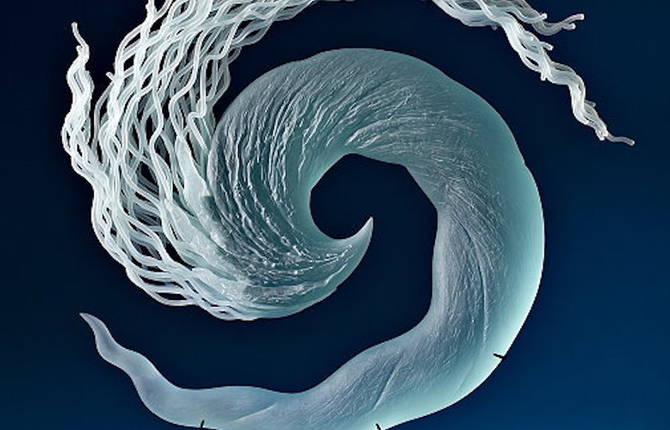 Stunning Curved Glass Sculptures