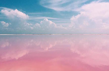 Amazing Pink Lagoon in Mexico