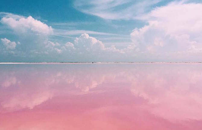 Amazing Pink Lagoon in Mexico