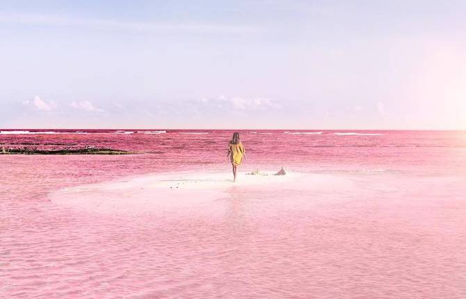 Amazing Pink Lagoon in Mexico