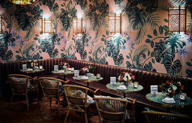 Tropical Interior Design for an Oyster Bar in San Francisco