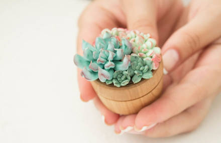 Delicate Succulent Ring Boxes