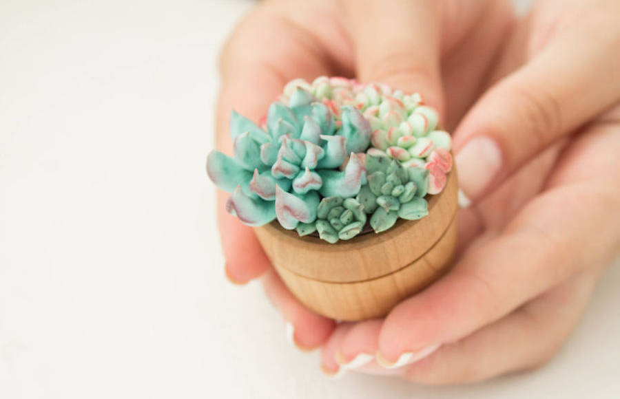 Delicate Succulent Ring Boxes
