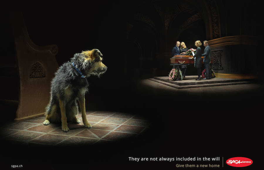 SPA New Touching Prints Campaign Showing Abandoned Animals