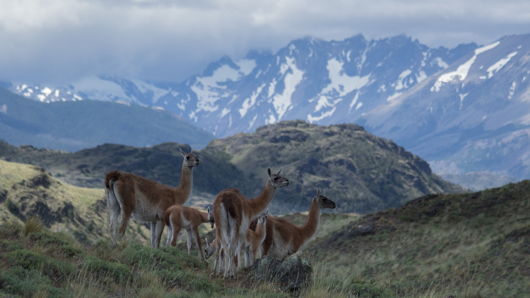 summerpatagonia10
