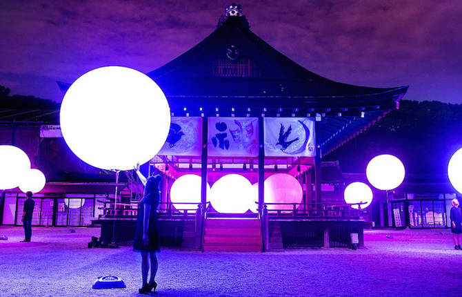 Amazing Light Installation Illuminating an Ancient Shrine & Forest in Kyoto