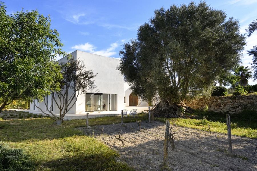 villaibiza1